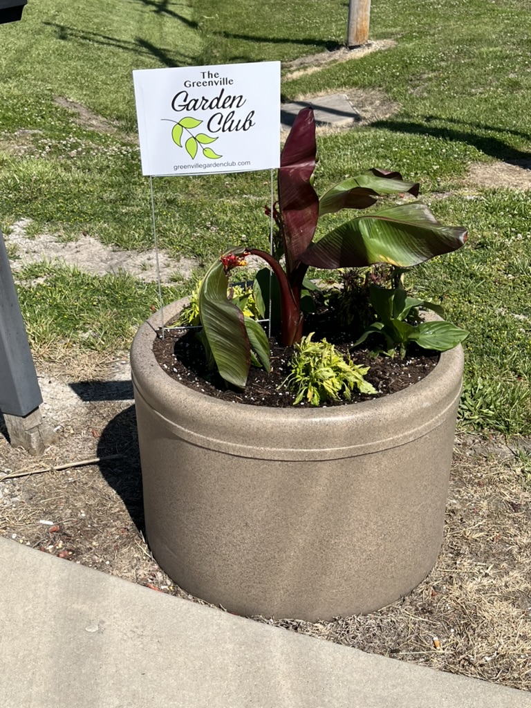 Garden photo
